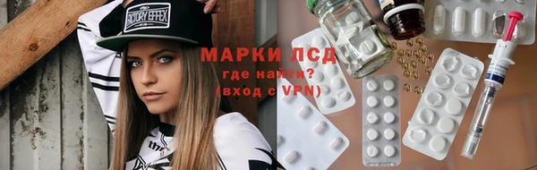 ГАЛЛЮЦИНОГЕННЫЕ ГРИБЫ Сосновка