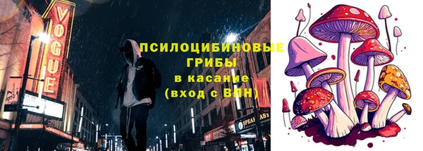 ГАЛЛЮЦИНОГЕННЫЕ ГРИБЫ Сосновка