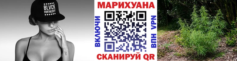 Каннабис OG Kush Назарово